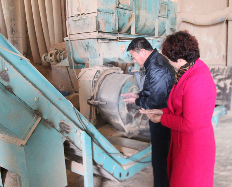 黑龍江商會到我公司參觀與考察