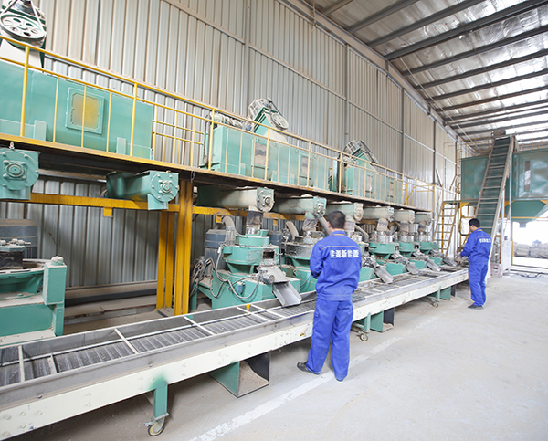 生物（wù）質鍋爐安裝（zhuāng）