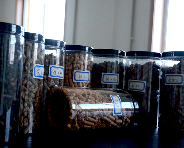 大連生物質顆粒