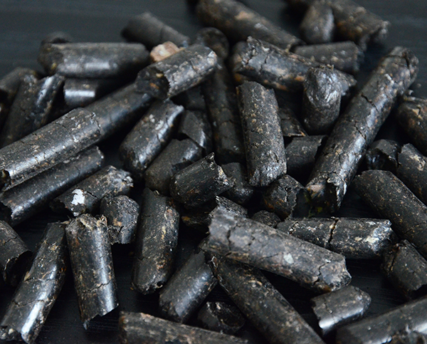 生（shēng）物質燃料