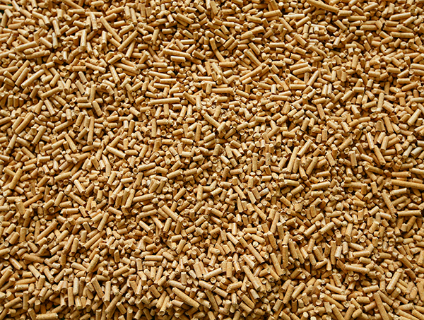 大連優質生物質燃料技術優勢與技術創新點（diǎn）
