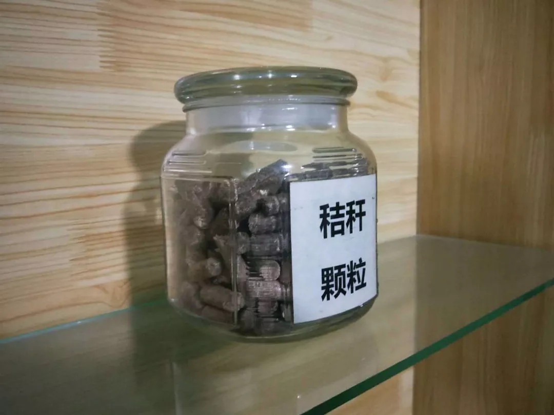 大連生物（wù）質顆粒