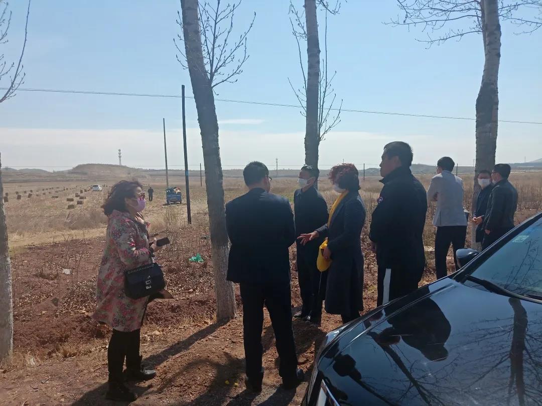 大連生（shēng）物質鍋爐